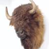 BUFFALLO
SIZE: 32"x24"x21"
PRICE: $739