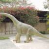 DINOSAUR
SIZE: 209"x37"x106"
PRICE: $7095
