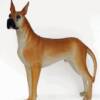 GREAT DANE
SIZE: 56"x31"x56"
PRICE: $889