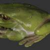 FROG
SIZE: 40"x34"x19"
PRICE: $529