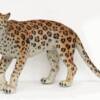 LEOPARD
SIZE: 46"x12"x27"
PRICE: $829
