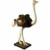 Ostrich 68" x 29.5" x 78"
Price: $865