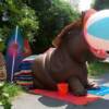 Life Size FIber Glass Hippo at Beach Party